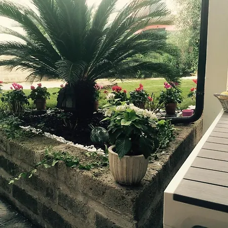 Beb Apartament Mirko Holiday home
